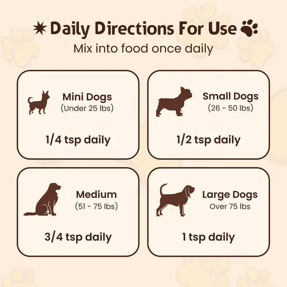 PETSMONT BUDDY GUARD: Daily Wellness Support for Senior Dogs