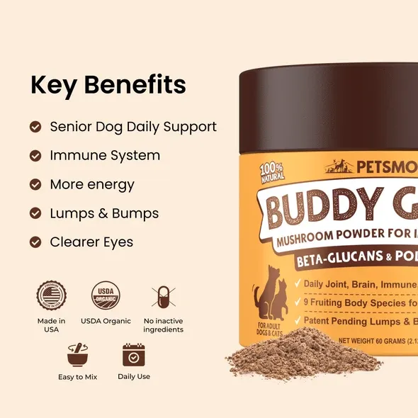 PETSMONT BUDDY GUARD: Daily Wellness Support for Senior Dogs