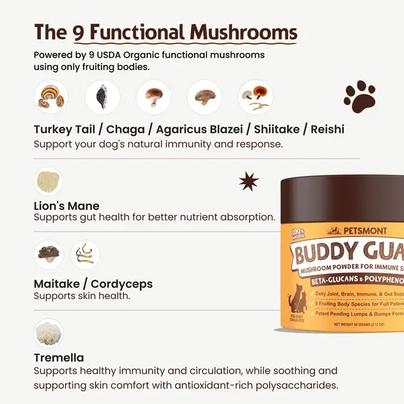 PETSMONT BUDDY GUARD: Daily Wellness Support for Senior Dogs