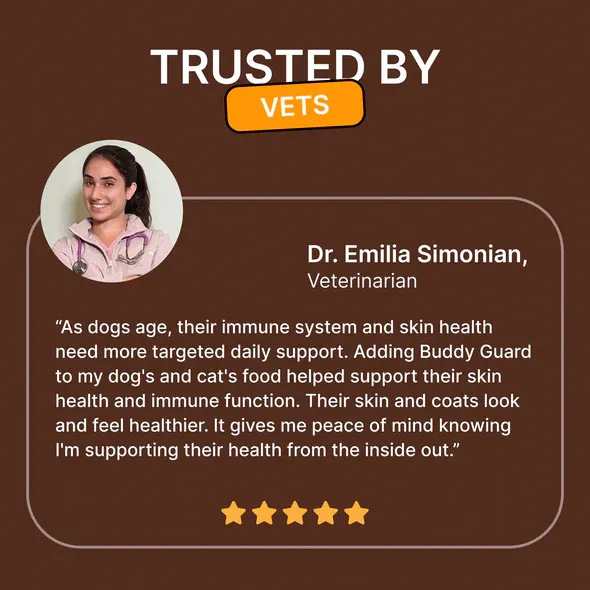 PETSMONT BUDDY GUARD: Daily Wellness Support for Senior Dogs