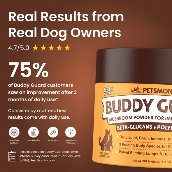 PETSMONT BUDDY GUARD: Daily Wellness Support for Senior Dogs