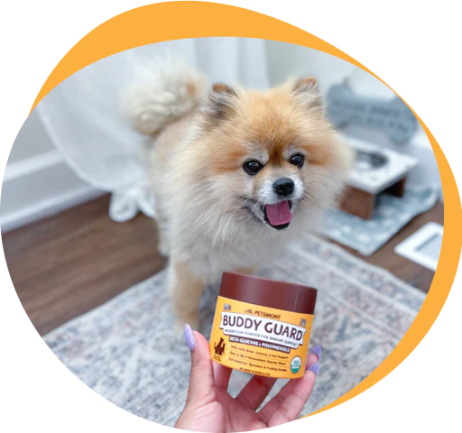 Why Give Buddy Guard To Your Pup?